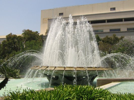 Wait, we're in a desert? Image from Yelp.