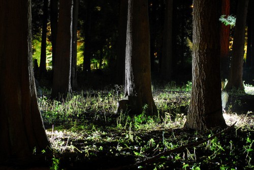 2843375079_e72f8d8b9d_z