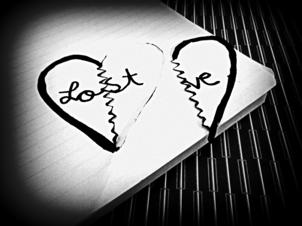 ZImage from kids-myshot.nationalgeographic.com 