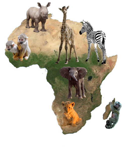 Animals may not be to scale.