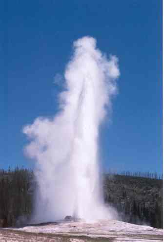 Like this, but with blood. Old Faithful, Yellowstone National Park.