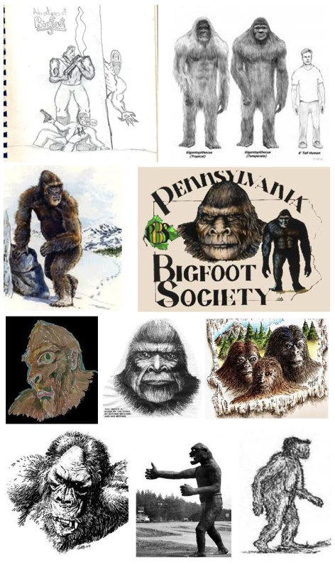 An array of Bigfoot illustrations.