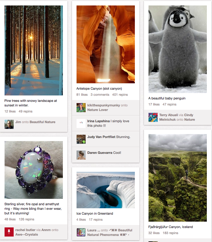 A forest, a ring, Antelope Canyon, Greenland,  penguin, Iceland.