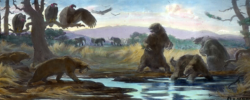 Fauna at the La Brea tar pits. Image from wikipedia.