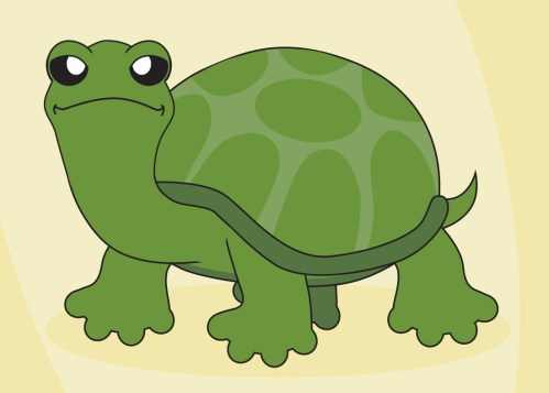turtleturtle