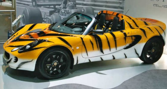 Lotus Elise Tiger Sports Car (allfastcars.com)
