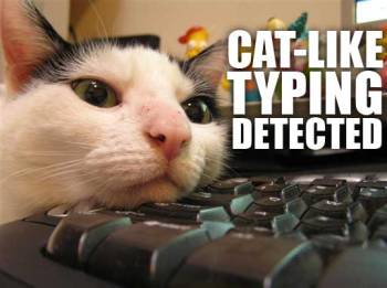 cat-like_typing