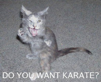 Do-You-Want-Karate_o_93805