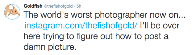 Screen Shot 2016-01-15 at 4.04.06 PM